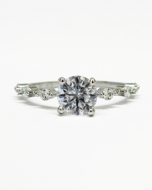Earth Ring